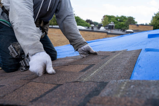 Best Storm Damage Roof Repair  in Lucedale, MS
