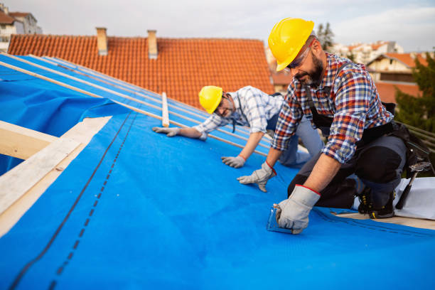 Best Tile Roofing Contractor  in Lucedale, MS