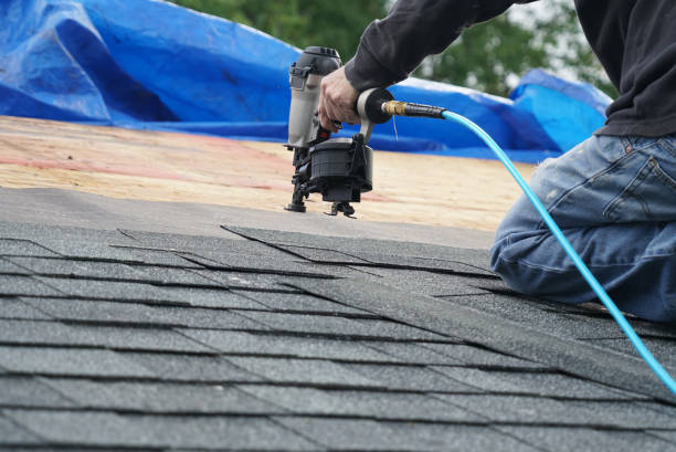 Best Roof Gutter Cleaning  in Lucedale, MS