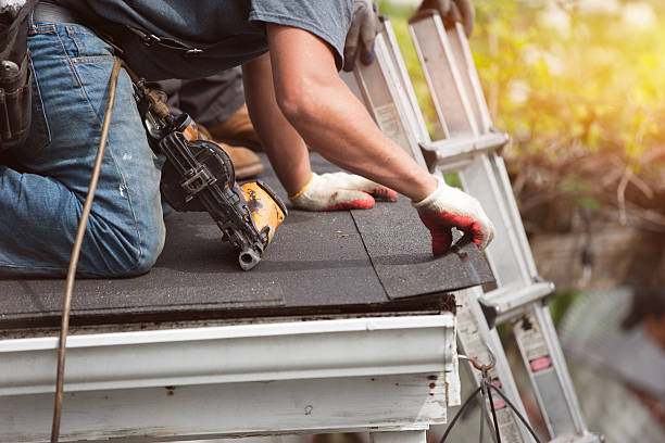 Best Roof Replacement Cost  in Lucedale, MS
