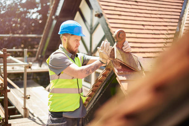 Best Roof Inspection Near Me  in Lucedale, MS