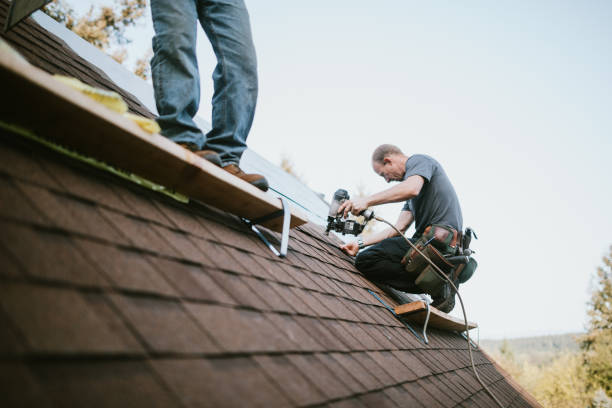 Best Flat Roof Repair Services  in Lucedale, MS